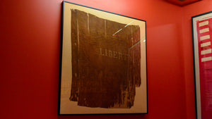 The Liberty Flag of Schenectady