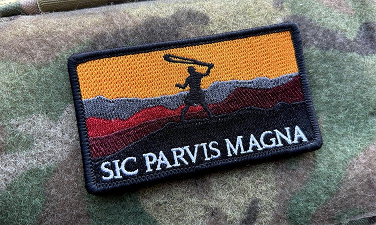 Sic Parvis Magna