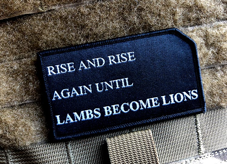 Rise and rise again, until lambs become lions. — Fight For You